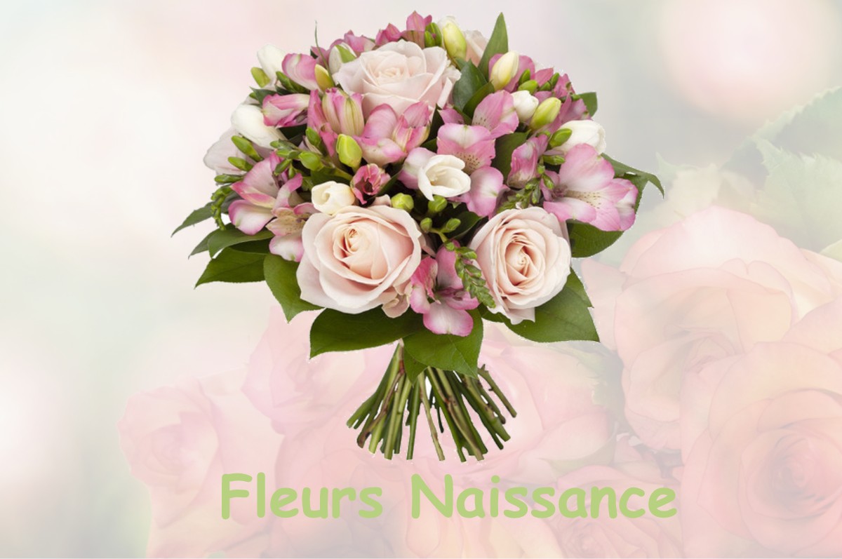 fleurs naissance LA-COUTURE-BOUSSEY